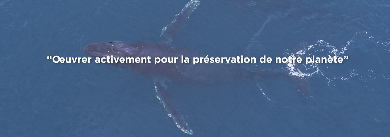 Pneumologie, BPCO, Asthme, environnement, climat, pollution