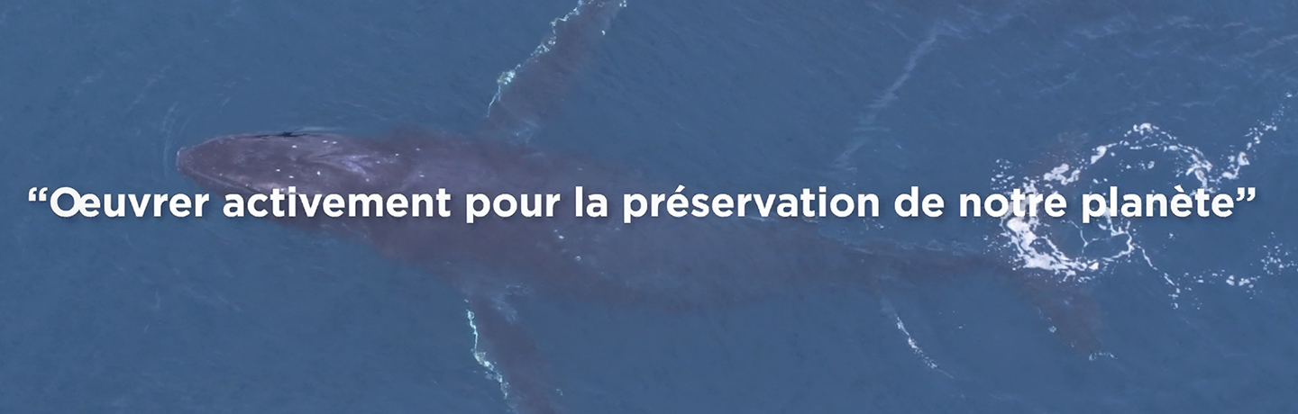 Pneumologie, BPCO, Asthme, environnement, climat, pollution