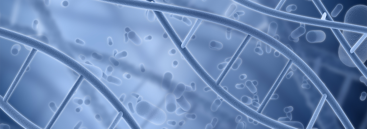 Pneumologie, Pneumo Innovations, sénescence cellulaire, sénescence pulmonaire