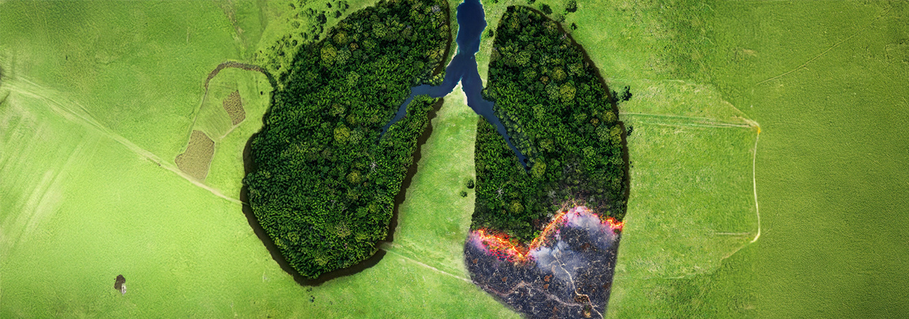 Pneumologie, Asthme, Ozone, conséquences